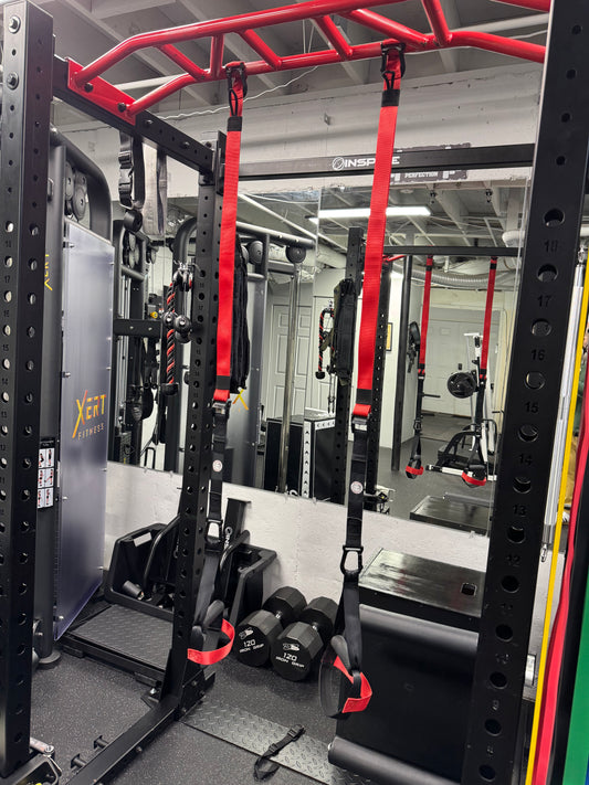 Heavy Duty Training Straps