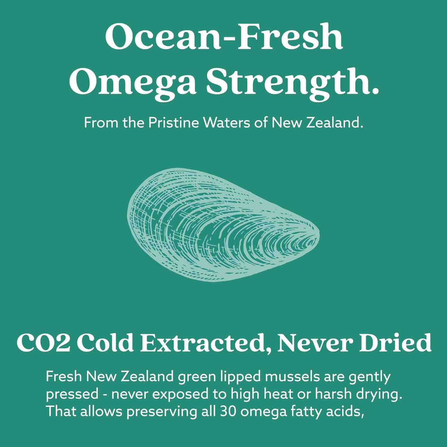 GLX3 - Extra Strength Green Lipped Mussel Oil