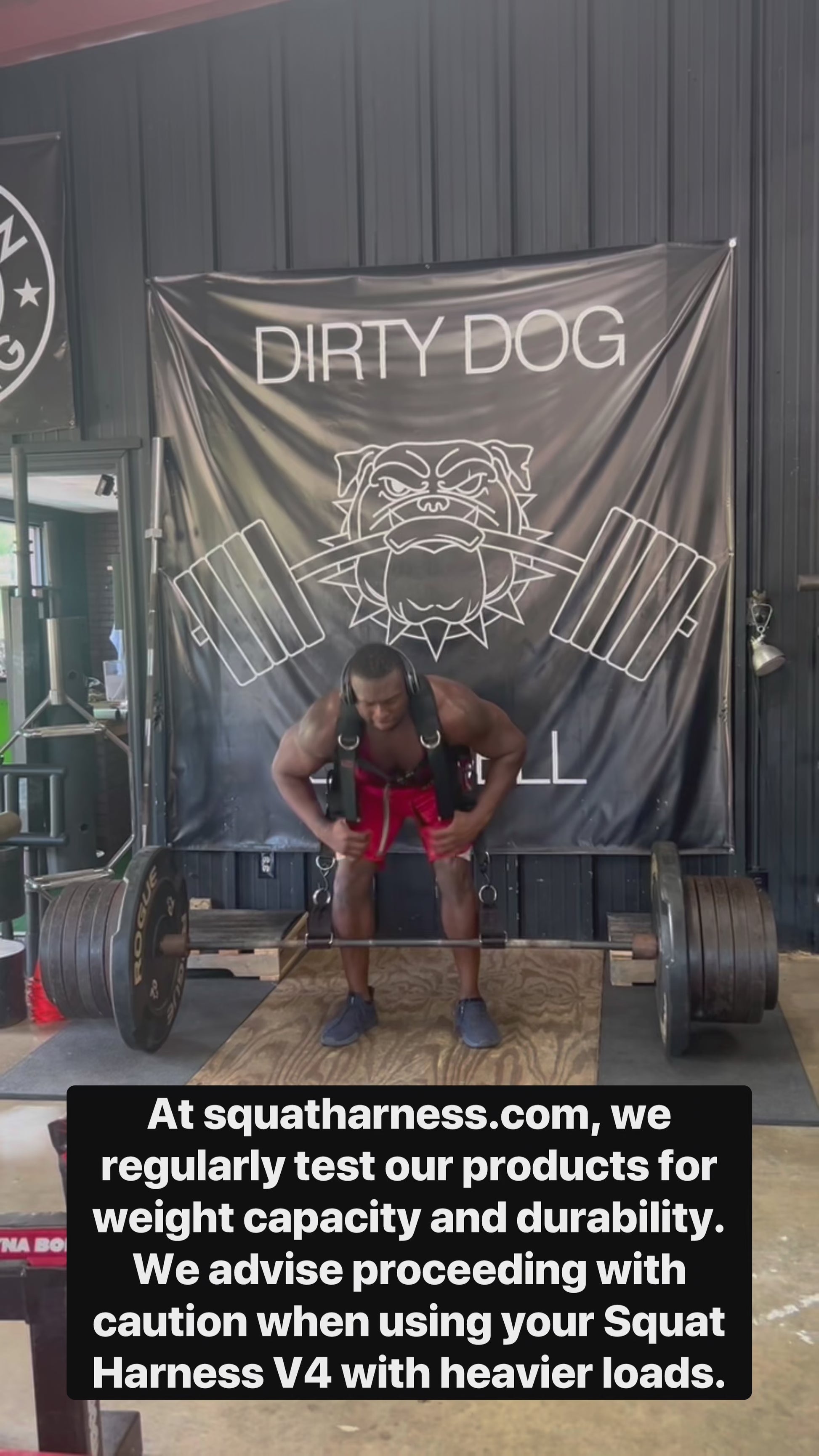 Heavy Duty Squat Harness